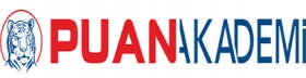 Puan Akademi
