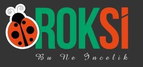 Roksi Dengeli Beslenme E Ticaret San. Ve Tic. Ltd. Şti.